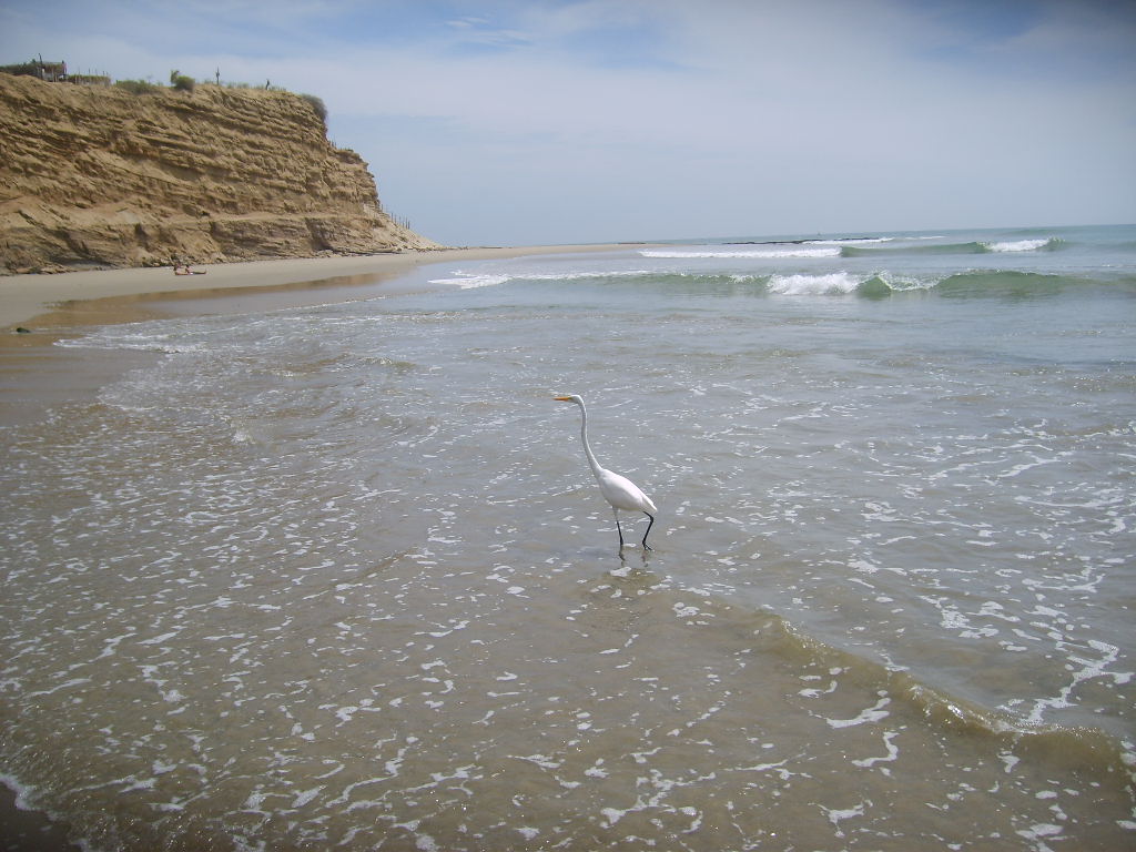 Exploring Northern Peru