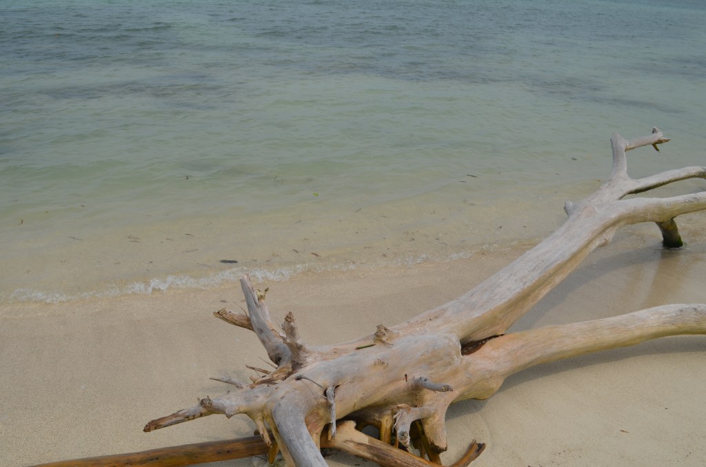 The Venezuela’s Coastal Gem: Morrocoy National&nbsp;park