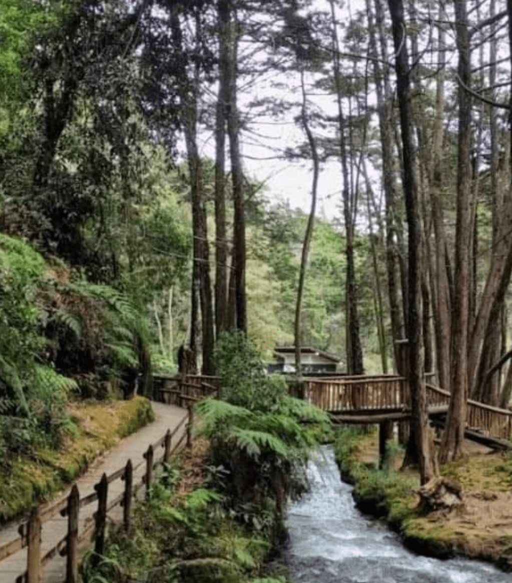 Exploring the Trails of Arví Park near&nbsp;Medellin