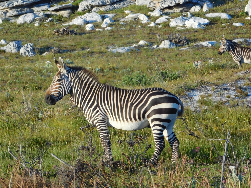 A weekend get away to Cape of Good&nbsp;Hope