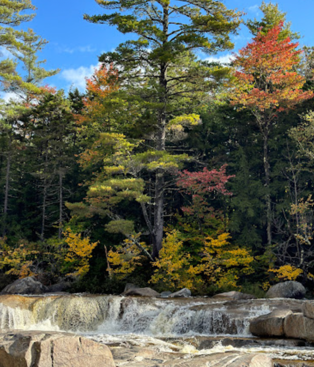 Why Choose the White Mountains for a Family Friendly Weekend&nbsp;Getaway