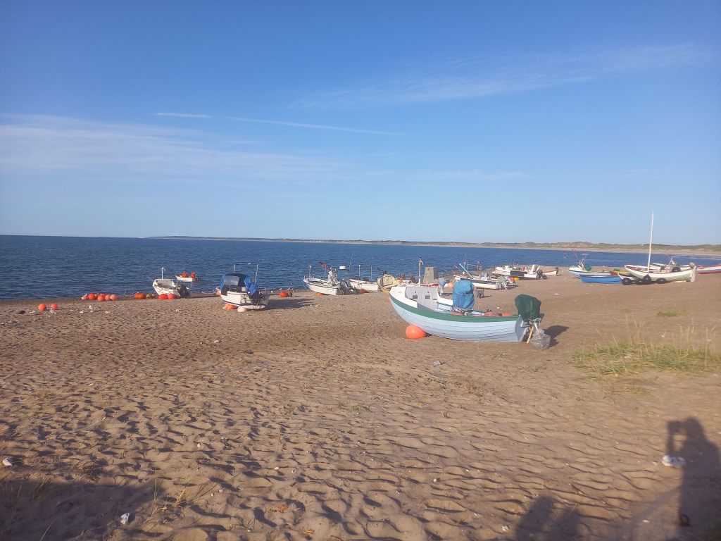 Discover Cold Hawaii: Denmark’s Surfing&nbsp;Paradise